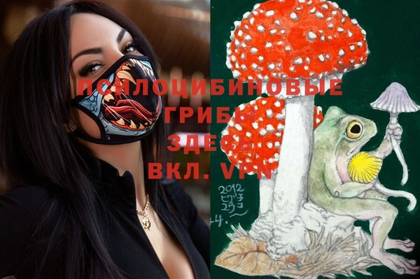 таблы Пересвет