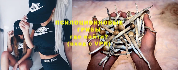 амф Алексеевка