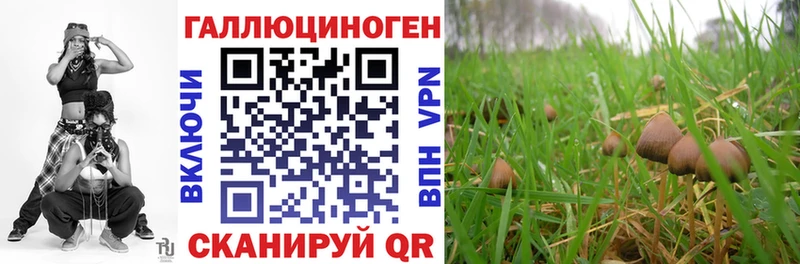 где купить   Кемь  Псилоцибиновые грибы ЛСД 